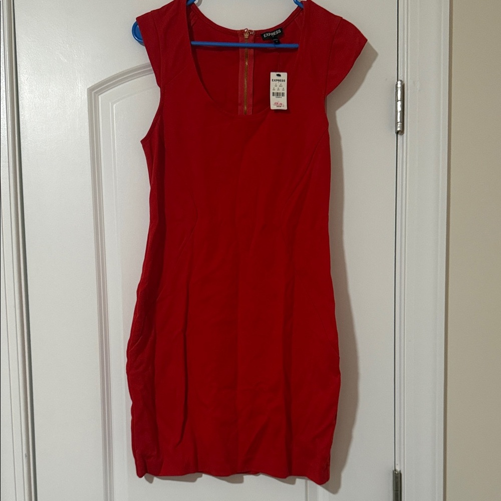 Express Scarlet Mini Dress